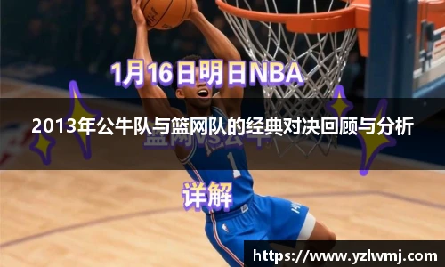 2013年公牛队与篮网队的经典对决回顾与分析