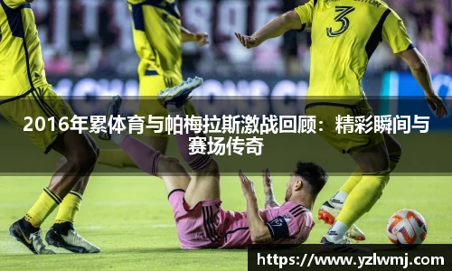 2016年累体育与帕梅拉斯激战回顾：精彩瞬间与赛场传奇