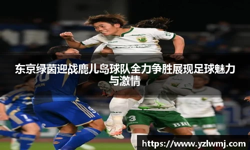 东京绿茵迎战鹿儿岛球队全力争胜展现足球魅力与激情
