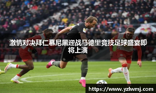 zoty中欧网站