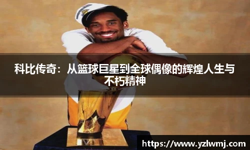 zoty中欧全站
